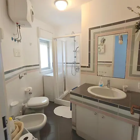 Bouganvilla צ'פאלו