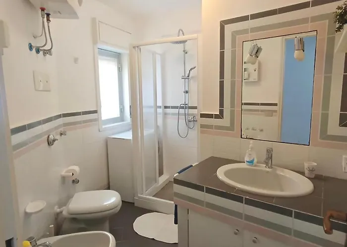 Bouganvilla צ'פאלו