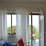 Bouganvilla
