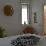 Bouganvilla