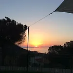 Bouganvilla