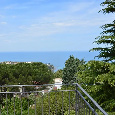 Bouganvilla