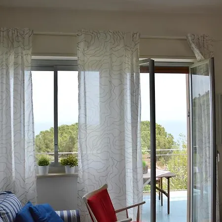 Bouganvilla