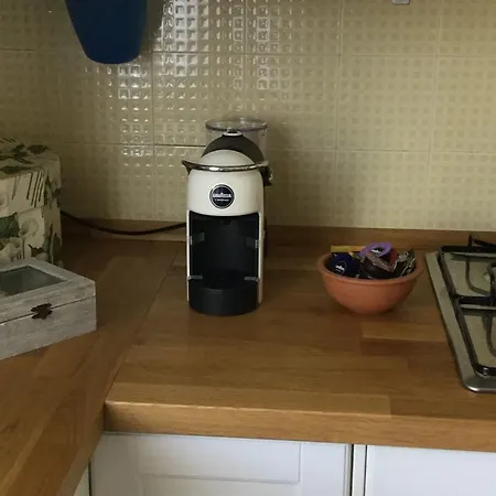 Bouganvilla צ'פאלו