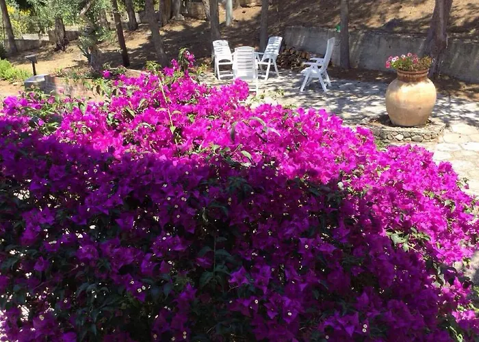 Bouganvilla * Cefalù